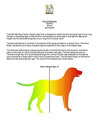 DNA My Dog - NextGen Breed ID PLUS Genetic Age Test