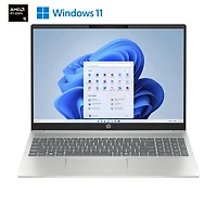 Ordinateur portable HP Pavilion 16", AMD Ryzen 5 8640U, 8 Go de RAM, 512 Go de SSD, Argent naturel, 16-ag0000ca
