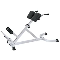 CAP Strength Hyperextension Ab Machine