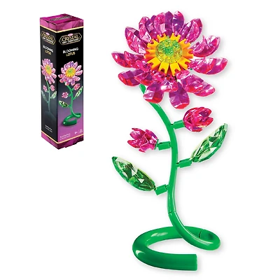 CRYSYAL GEM LOTUS - FRENCH