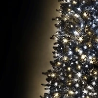 Danson Décor 500CT LED Plug In Lights, Warm White/ Pure White