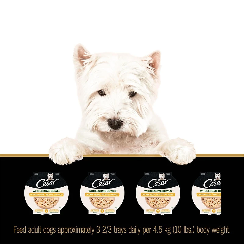 Cesar Wholesome Bowls Chicken Recipe Adult Wet Dog Food, 85g