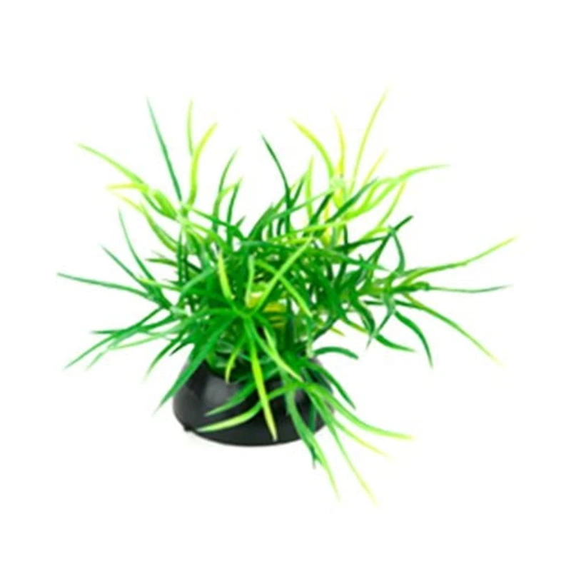 Penn Plax Aqua-Plantes D'Aquarium Décorations