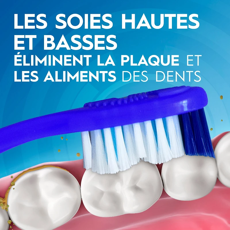 Oral-B Brosse à Dents Dual Clean, Souple