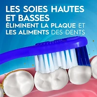 Oral-B Brosse à Dents Dual Clean, Souple