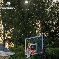 Lumière de panier de basket-ball DEL Silverback