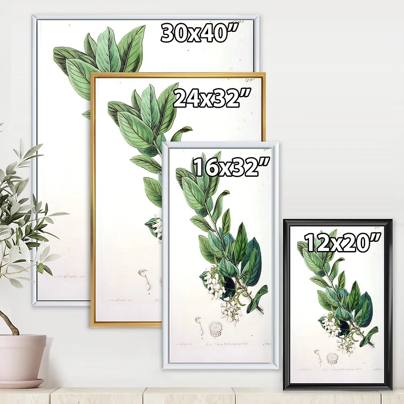 Designart Vintage Botanicals XX FLOAT FRAME WALL ART