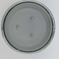 MAINSTAYS PL Backyard Bonfire Scented 3-Wick Glass Jar Candle, 11.5 oz, MAINSTAYS PL Backyard Bonfire Scented 3-Wick Glass Jar Candle, 11.5 oz