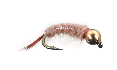Superfly FLY1660-10P Nymphe BH Crevettes #10 Ils fonctionnent mieux lorsqu'ils sont immergés