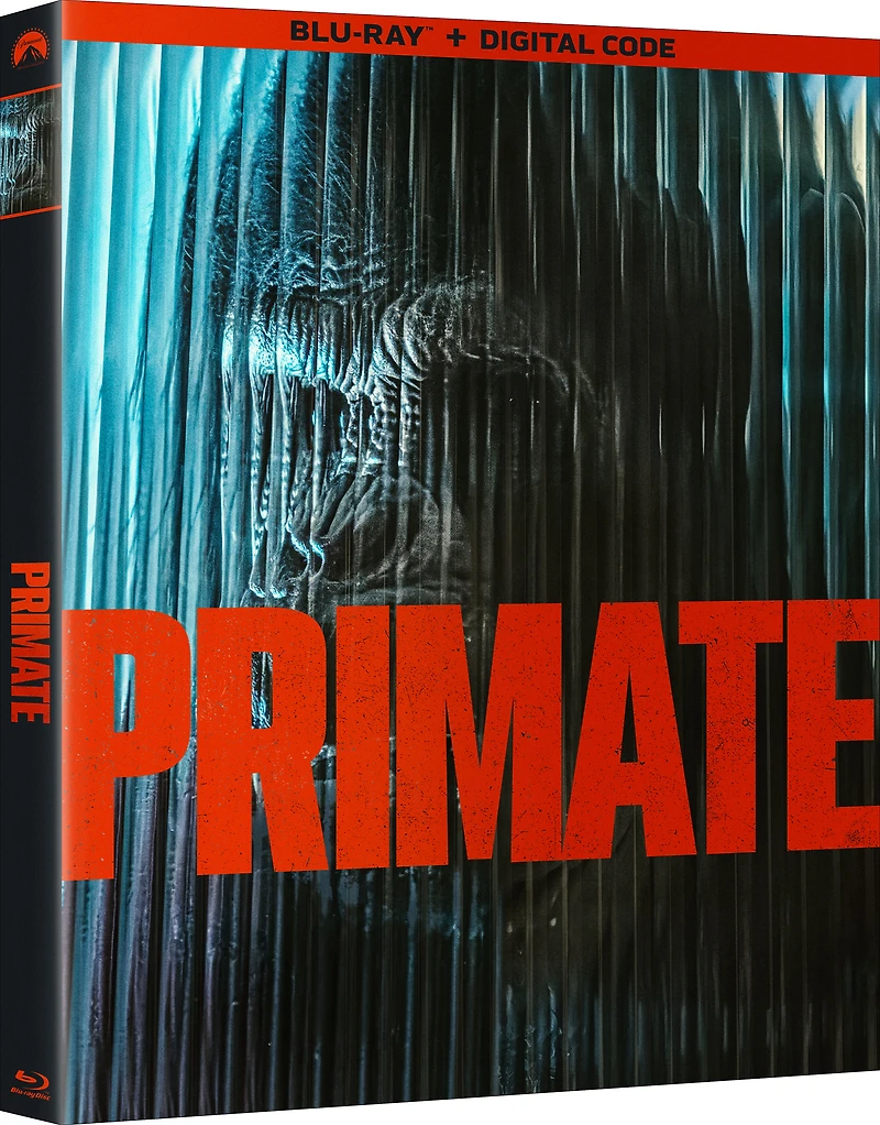 Primate BD_fr