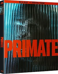 Primate BD_fr
