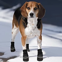 SPOT Extrême Tous Temps Petit Chien Bottes Petit, paquet de 4