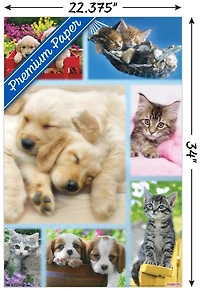 Keith Kimberlin - Collage de chiots et de chatons