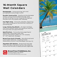 Tropical Islands 2023 Square