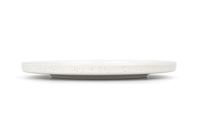 Assiette plate SAB Luna 10.25 pouces