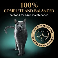 SHEBA GRAVY INDULGENCE PERFECT PORTIONS Adult Wet Cat Food Chicken & Beef Entrée in Extra Gravy Variety Pack