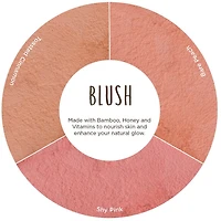 Burt’s Bees 100% Natural Blush with Vitamin E