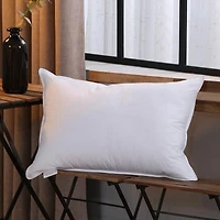 Royal Elite Oreiller en Duvet Européen