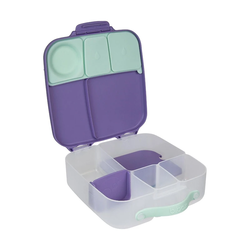 b.box - 5-Compartment Bento Style Lunch Box for Kids, Toddlers, Children, BPA-Free Food Storage Container with Cooler Pack, ON-The-GO Food Box with Handles Included Custom Divider