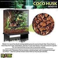 Exo Terra Coque de Coco - s'Étend à 7qt