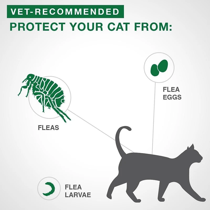 Advantage II Flea Treatment for Kittens