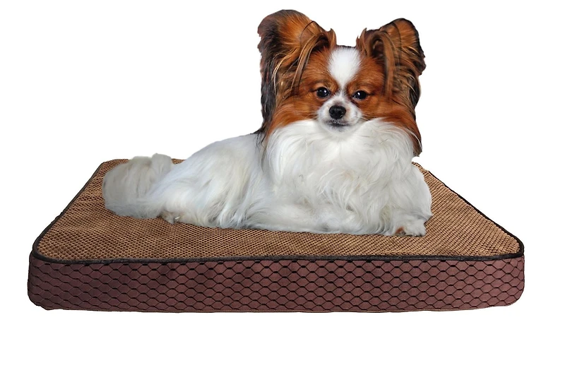 Ethical Sleep Zone Lit pour Chien en Bambou - Plusieurs Tailles Disponibles