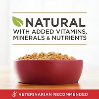 Purina ONE Classic Ground Chicken & Brown Rice Entrée, Wet Dog Food 368 g, 368 g