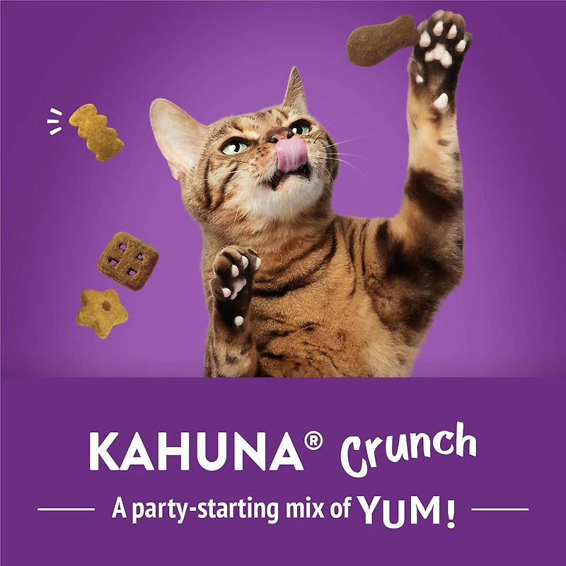 Friskies Party Mix Kahuna Crunch, Cat Treats 170g, 170 g