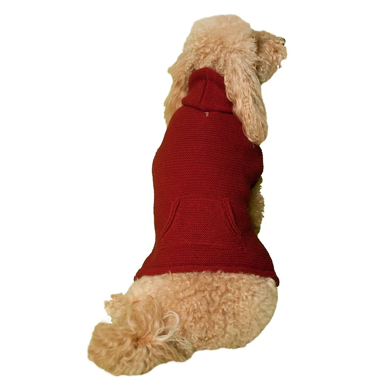 Holiday Time Rhubarb Hoodie with Pocket for Dogs