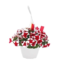 jour du Canada Panier