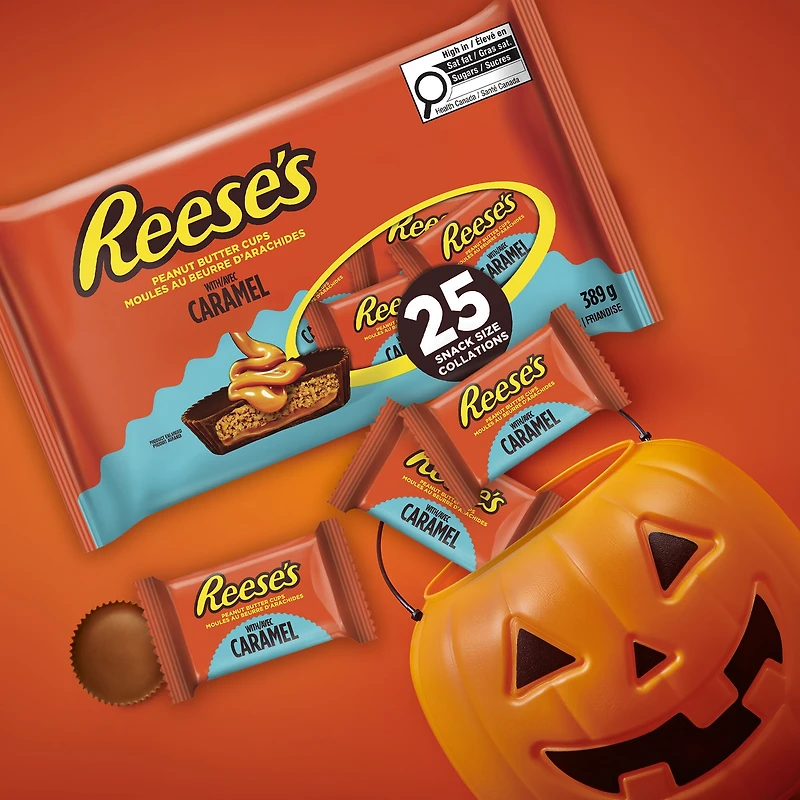 25ct Reese's Peanut Butter Cups with Caramel Snack Size 389g, 24pk, 25ct Reese's PBC with Caramel