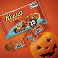 25ct Reese's Peanut Butter Cups with Caramel Snack Size 389g, 24pk, 25ct Reese's PBC with Caramel