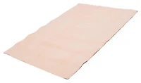 ECARPET Lotus Mod Ivory Rug 6'0" x 9'0"