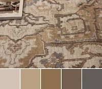 ECARPET Stassie Traditional Area Rug for Living Room, Bedroom, Dining Room, Entrance, Hallway and More.