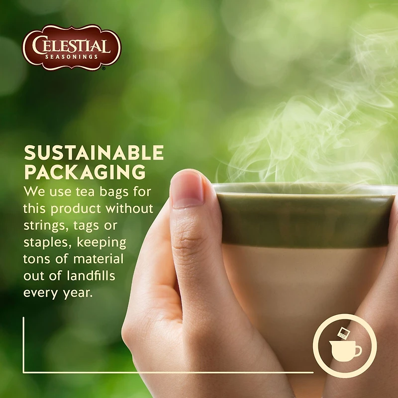 Celestial Seasonings pomme-cannelle épices tisane sans caféine, 20 sachets