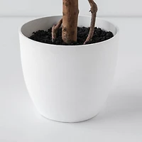 Poinsettia Tree, 59"H