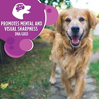 Iams Mature Adult Large Breed with Chicken & Whole Grains Recipe Dry Dog Food