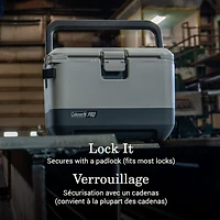 Glacière rigide premium Coleman Pro, 17 qt (16 pintes), format boîte à lunch, robuste, ultralégère, couvercle et corps entièrement isolés, garde le froid pendant des jours