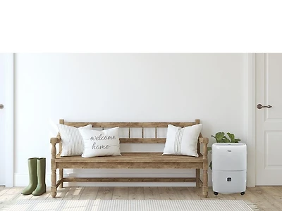 TCL 20 pint Dehumidifier, White