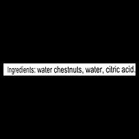 Châtaignes d’eau Dynasty en tranchées