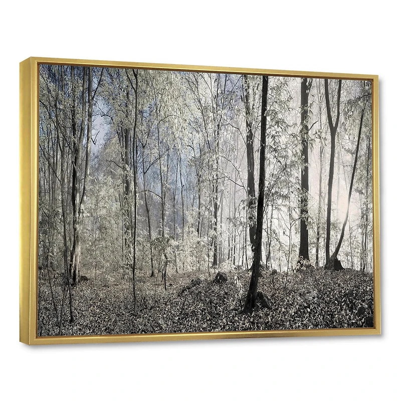 Designart Dark Morning in Forest Panorama FLOAT FRAME WALL ART