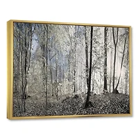 Designart Dark Morning in Forest Panorama FLOAT FRAME WALL ART