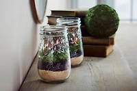 Ball Flute Mason Jars with Mason Jar Lids, 16 oz (473 mL), 4 pièces