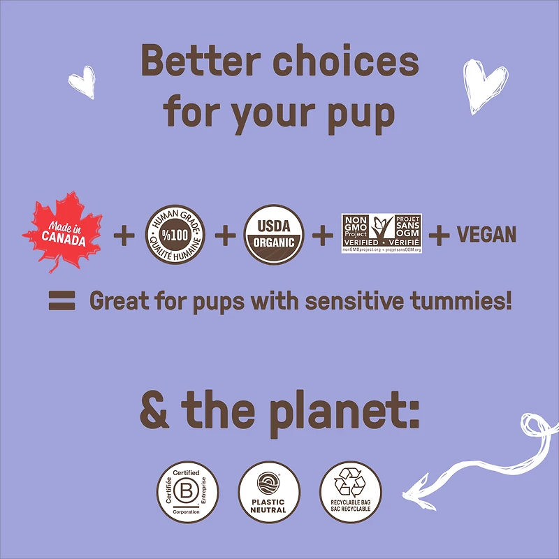 COOKIE PAL Blueberry & Pumpkin Soft Baked Bites Human Grade and Organic Dog Treats 250g