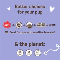 COOKIE PAL Blueberry & Pumpkin Soft Baked Bites Human Grade and Organic Dog Treats 250g