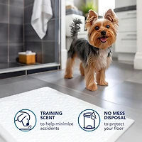 Scott Pet Guard Dog Pads - Dog Training Pee Pads for Puppies, Medium & Large Dogs - Up to 12 Hour Absorbent odour Control - Easily Disposable Dog Pee Pads - Size Large - 22" x 22" - 50 Pack