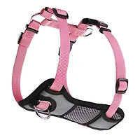 Jespet Padded Front Dog Harness