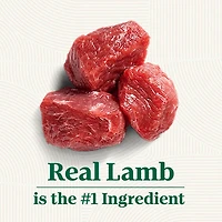 Nutro Natural Choice Large Breed Adult Dry Dog Food Lamb & Brown Rice Recipe 9.07kg