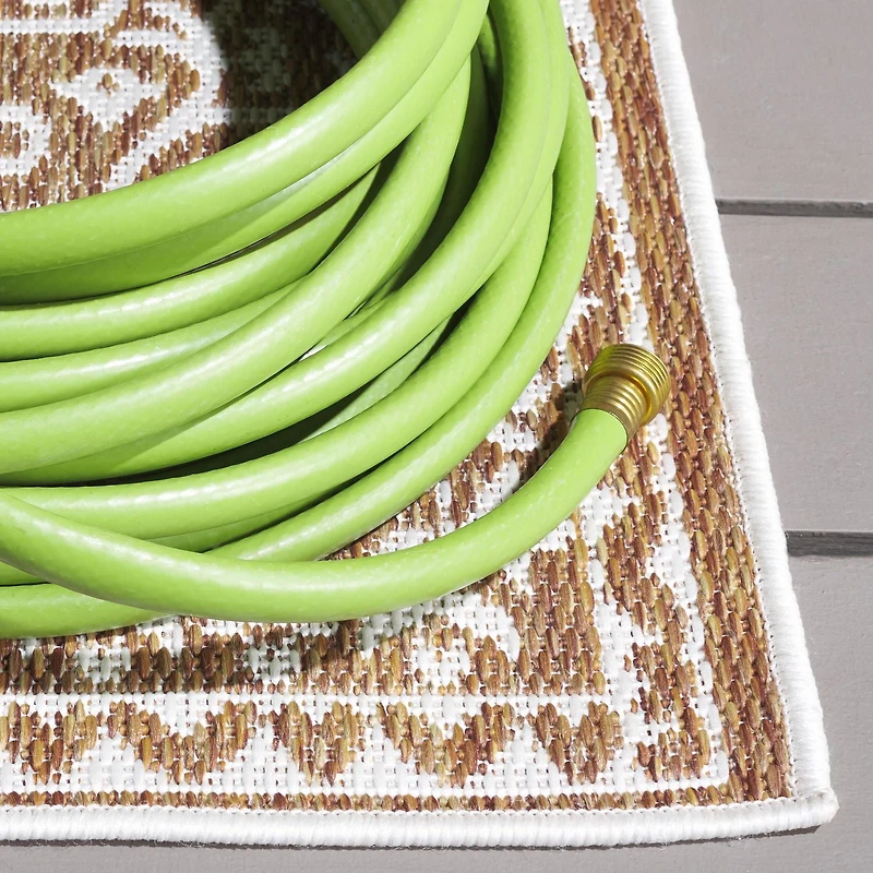 SAFAVIEH Beach House Hubert Medallion Indoor/Outdoor Area Rug