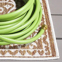 SAFAVIEH Beach House Hubert Medallion Indoor/Outdoor Area Rug